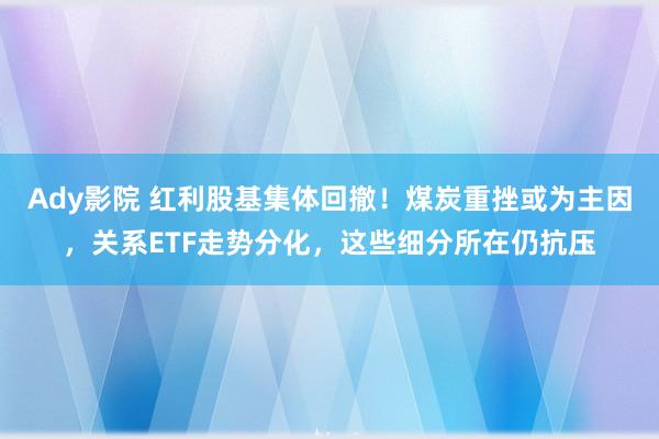 Ady影院 红利股基集体回撤！煤炭重挫或为主因，关系ETF走势分化，这些细分所在仍抗压