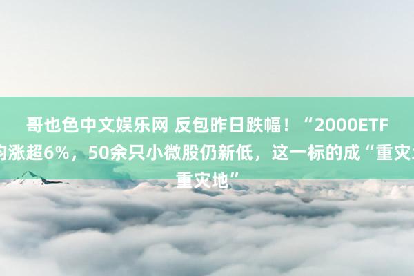 哥也色中文娱乐网 反包昨日跌幅！“2000ETF”均涨超6%，50余只小微股仍新低，这一标的成“重灾地”