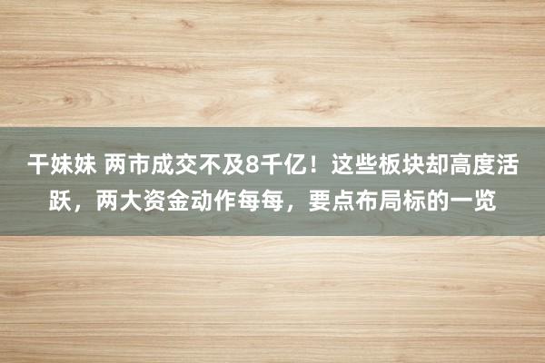 干妹妹 两市成交不及8千亿！这些板块却高度活跃，两大资金动作每每，要点布局标的一览