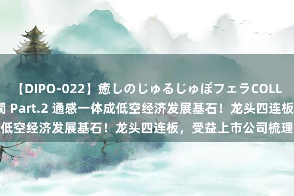 【DIPO-022】癒しのじゅるじゅぽフェラCOLLECTION50連発4時間 Part.2 通感一体成低空经济发展基石！龙头四连板，受益上市公司梳理