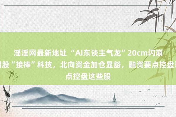 淫淫网最新地址 “AI东谈主气龙”20cm闪崩！周期股“接棒”科技，北向资金加仓显豁，融资要点控盘这些股