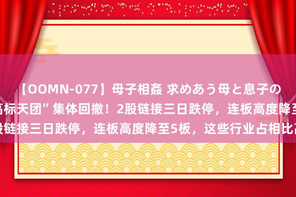 【OOMN-077】母子相姦 求めあう母と息子のムスコ 4時間 25名 “高标天团”集体回撤！2股链接三日跌停，连板高度降至5板，这些行业占相比高