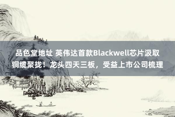 品色堂地址 英伟达首款Blackwell芯片汲取铜缆聚拢！龙头四天三板，受益上市公司梳理