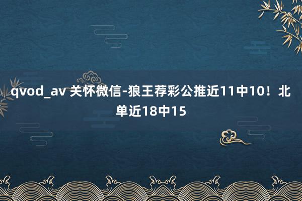 qvod_av 关怀微信-狼王荐彩公推近11中10！北单近18中15