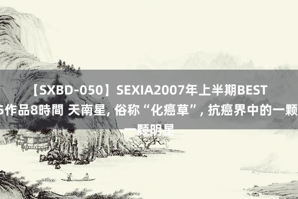 【SXBD-050】SEXIA2007年上半期BEST 全35作品8時間 天南星, 俗称“化癌草”, 抗癌界中的一颗明星