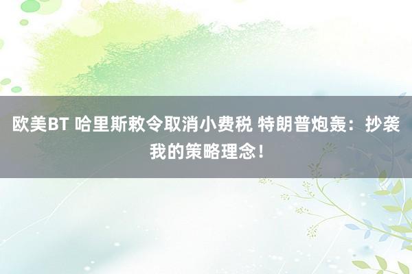 欧美BT 哈里斯敕令取消小费税 特朗普炮轰：抄袭我的策略理念！