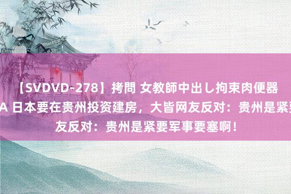 【SVDVD-278】拷問 女教師中出し拘束肉便器 仁科百華 RISA 日本要在贵州投资建房，大皆网友反对：贵州是紧要军事要塞啊！