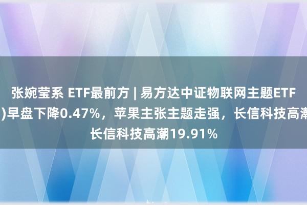 张婉莹系 ETF最前方 | 易方达中证物联网主题ETF(159895)早盘下降0.47%，苹果主张主题走强，长信科技高潮19.91%