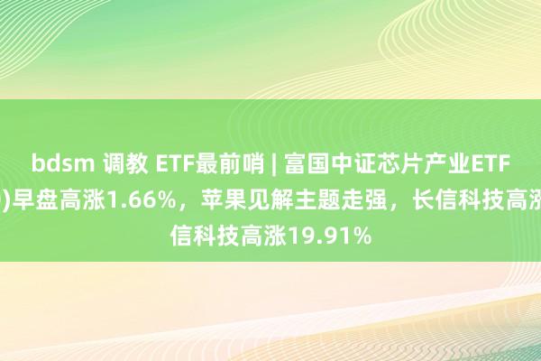 bdsm 调教 ETF最前哨 | 富国中证芯片产业ETF(516640)早盘高涨1.66%，苹果见解主题走强，长信科技高涨19.91%