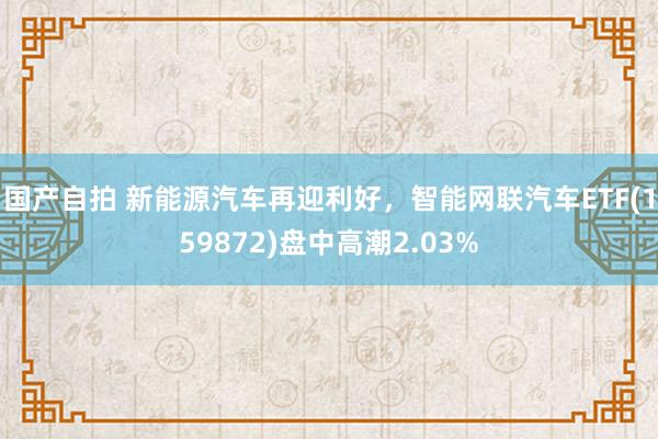 国产自拍 新能源汽车再迎利好，智能网联汽车ETF(159872)盘中高潮2.03%