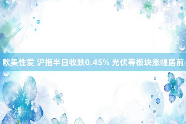 欧美性爱 沪指半日收跌0.45% 光伏等板块涨幅居前