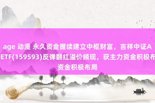 age 动漫 永久资金握续建立中枢财富，吉祥中证A50ETF(159593)反弹翻红溢价频现，获主力资金积极布局