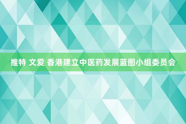 推特 文爱 香港建立中医药发展蓝图小组委员会