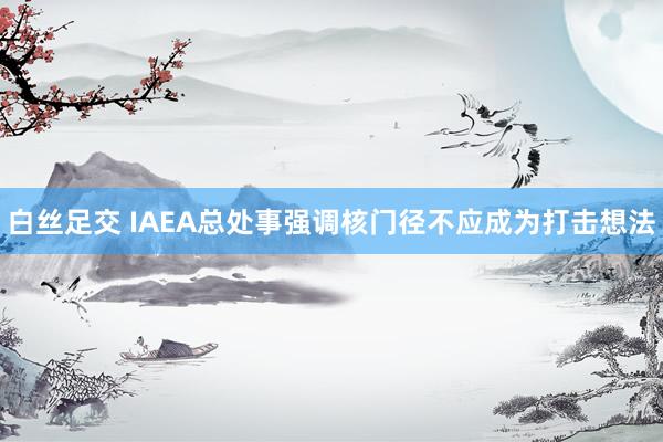 白丝足交 IAEA总处事强调核门径不应成为打击想法