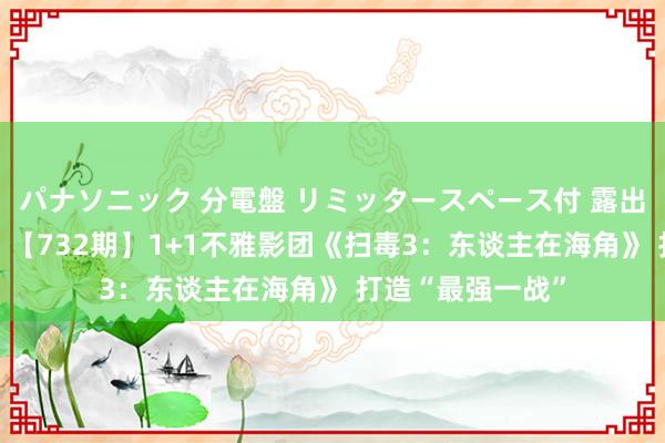 パナソニック 分電盤 リミッタースペース付 露出・半埋込両用形 【732期】1+1不雅影团《扫毒3：东谈主在海角》 打造“最强一战”