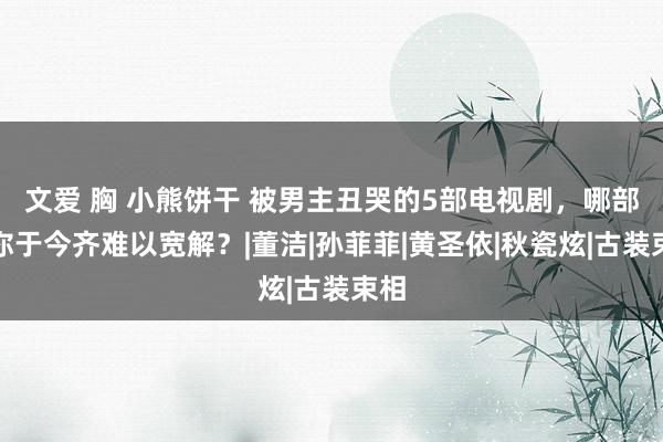 文爱 胸 小熊饼干 被男主丑哭的5部电视剧，哪部让你于今齐难以宽解？|董洁|孙菲菲|黄圣依|秋瓷炫|古装束相