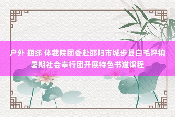 户外 捆绑 体裁院团委赴邵阳市城步县白毛坪镇暑期社会奉行团开展特色书道课程