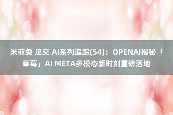 米菲兔 足交 AI系列追踪(54)：OPENAI揭秘「草莓」AI META多模态新时刻重磅落地