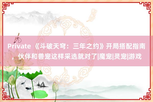 Private 《斗破天穹：三年之约》开局搭配指南，伙伴和兽宠这样采选就对了|魔宠|灵宠|游戏