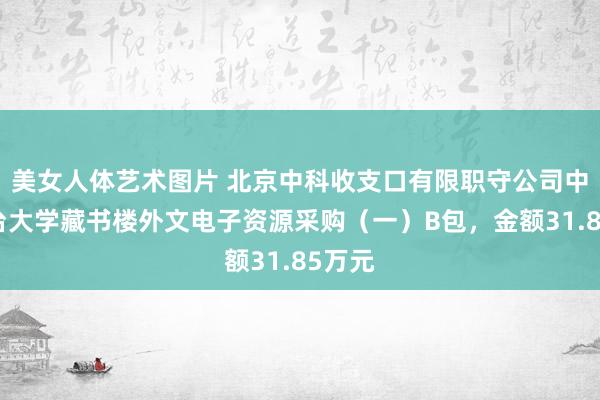 美女人体艺术图片 北京中科收支口有限职守公司中标烟台大学藏书楼外文电子资源采购（一）B包，金额31.85万元